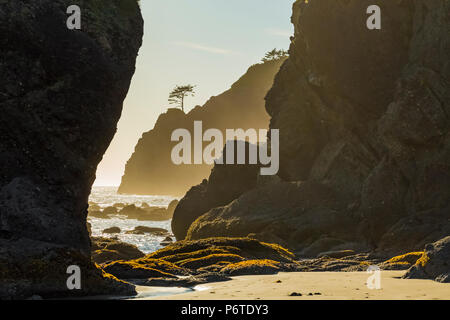 Die Felsen von Bögen kurz vor Sonnenuntergang, von Shi Shi Strand entlang des Pazifischen Ozeans in Olympic National Park, Washington State, USA gesehen Stockfoto