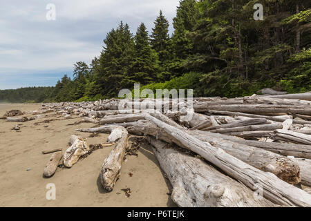 Driftwood Protokolle bei heftigen Winterstürme auf Shi Shi Strand entlang des Pazifischen Ozeans in Olympic National Park, Washington State, USA hinterlegt Stockfoto