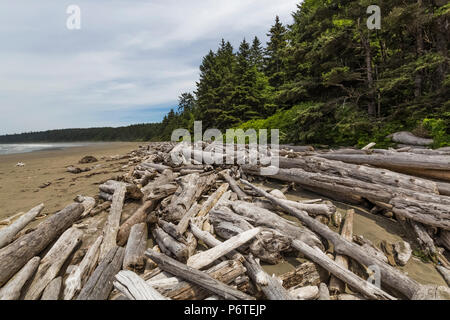 Driftwood Protokolle bei heftigen Winterstürme auf Shi Shi Strand entlang des Pazifischen Ozeans in Olympic National Park, Washington State, USA hinterlegt Stockfoto