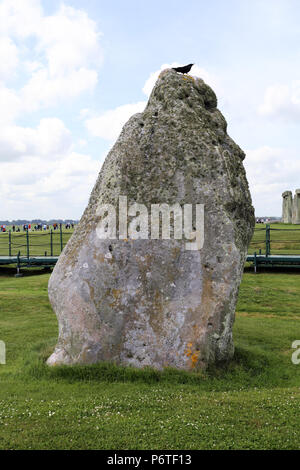 Anzeigen von Stonehenge in Wiltshire, England, Großbritannien Stockfoto