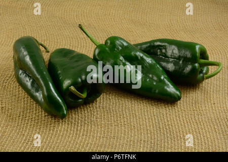 Vier ganze Frisch gespült poblano Pfeffer auf sackleinen Stockfoto