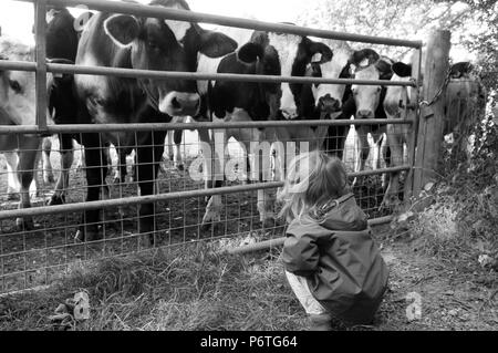 Schwarz-weiß Foto von Toddler hockend, mit Blick auf Kühe Stockfoto