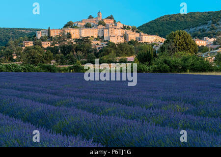 Europa, Frankreich, Provence, Banon mit Lavendel Feld Stockfoto