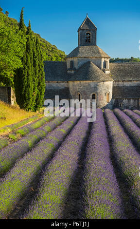 SÃ©nanque Abbey ist eine Zisterzienserabtei in der Nähe des Dorfes Gordes im Departement Vaucluse in der Provence, Frankreich Stockfoto