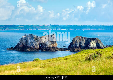 Frankreich, Bretagne (Bretagne), Finistère, Camaret-sur-Mer. Pointe de Toulinguet auf der Presqu'ile de Crozon, Parc naturel Regional d'Armorique. Stockfoto