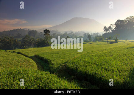 Indonesien, Bali, Sidemen, Iseh, Reisfelder und Gunung Agung Vulkan Stockfoto