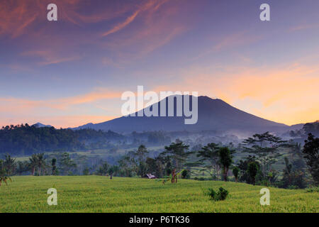 Indonesien, Bali, Sidemen Tal, Iseh, Reisfelder und Gunung Agung Vulkan Stockfoto