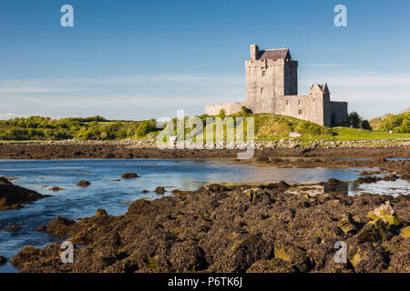 Irland, im County Galway, Galway, Dunguaire Castle Schloss Stockfoto