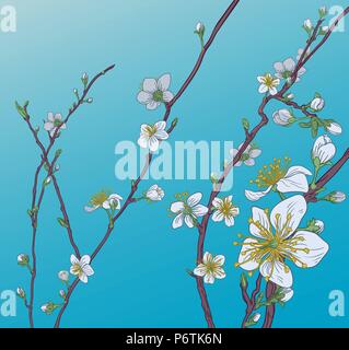 Cherry Peach Blossom Flowers Background Pattern Stock Vektor