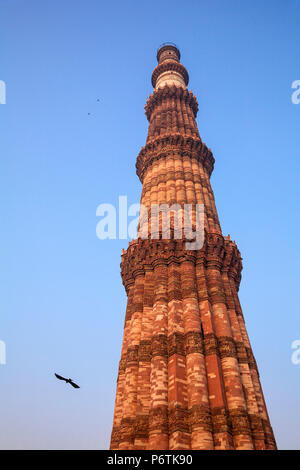 Indien, Delhi, Indien, Delhi, New Delhi, Qutub Minar Stockfoto