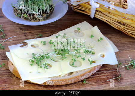 Gesunde Rezepte mit Gartenkresse Stockfoto