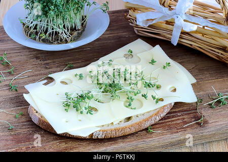 Gesunde Rezepte mit Gartenkresse Stockfoto