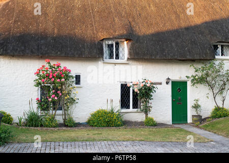 Reetdachhaus und Rosen im Dorf Great Milton, Oxfordshire, England Stockfoto