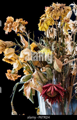 Vase von toten und verwesenden Blumen. Die Gefühle der Einsamkeit, Trauer, Depression und Verlust des Lebens. Stockfoto