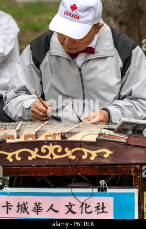 Mann spielt eine chinesische Musikinstrument namens Guzheng am Canada Day Feier in Calgary's Chinatown Stockfoto