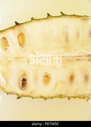 Guanabana, Soursop, São Paulo, Brasilien Stockfoto