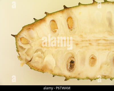 Guanabana, Soursop, São Paulo, Brasilien Stockfoto