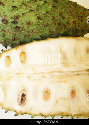 Guanabana, Soursop, São Paulo, Brasilien Stockfoto