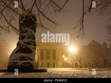 Lemberg, Ukraine - November 13, 2016: Ivan Franko Monument und der National Universität Lwiw Hauptgebäude. Schöne Nacht winter Stadtbild im Zentrum Stockfoto