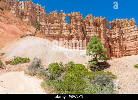 Portrait der Fensterfront im Bryce Canyon National Park. Stockfoto