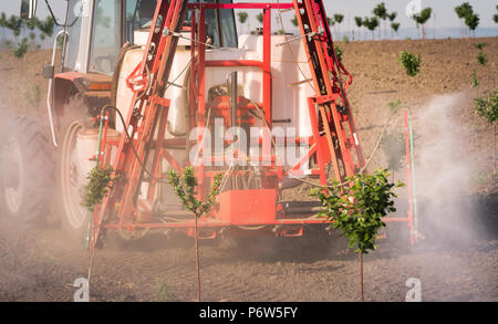 Traktor Pflanzenschutz Cherry Orchard am Frühling Stockfoto