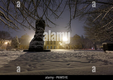 Lemberg, Ukraine - November 13, 2016: Ivan Franko Monument und der National Universität Lwiw Hauptgebäude. Schöne Nacht winter Stadtbild im Zentrum Stockfoto