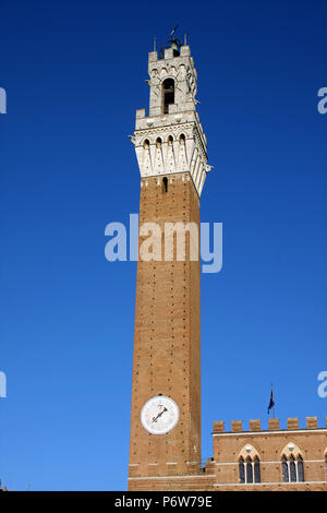 Der Torre del Mangia und der Palazzo Publico auf dem Campo, Siena, Toskana, Italien Stockfoto