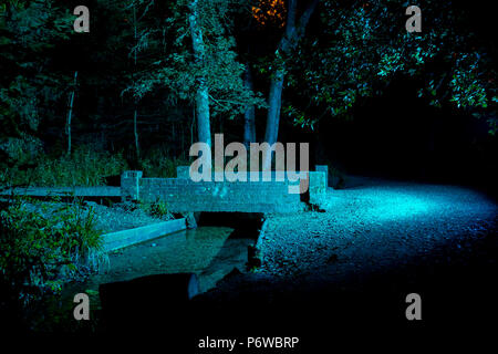 Nacht Foto von Stream und Brücke in der Mitte der Wälder mit blauem Licht während einer langen Belichtung gemalt. Stockfoto