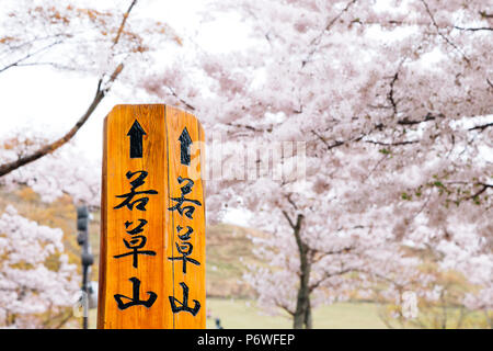 Wakakusa Berg mit Frühling Kirschblüten in Nara, Japan (Japanische Übersetzung Wakakusa Berg) Stockfoto