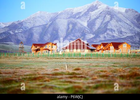 Zhangye, Zhangye, China. 3. Juli 2018. Zhangye, CHINA - wilde Enten erfassen am Luanniao See in Shandan Horse Farm, im Nordwesten der chinesischen Provinz Gansu. Credit: SIPA Asien/ZUMA Draht/Alamy leben Nachrichten Stockfoto