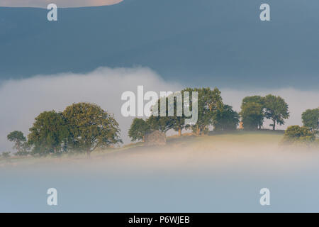 Yorkshire Dale, UK. 3. Juli 2018. Einen weiteren herrlichen Tag bekons nach dem frühen Morgennebel in den Yorkshire Dale Nationalpark um Semerwater, Wensleydale. Credit: Wayne HUTCHINSON/Alamy leben Nachrichten Stockfoto