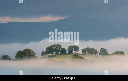 Yorkshire Dale, UK. 3. Juli 2018. Einen weiteren herrlichen Tag bekons nach dem frühen Morgennebel in den Yorkshire Dale Nationalpark um Semerwater, Wensleydale. Credit: Wayne HUTCHINSON/Alamy leben Nachrichten Stockfoto