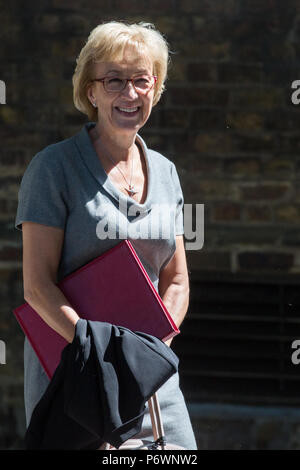 London, Großbritannien. 3. Juli 2018. Andrea Leadsom MP, Herr Präsident des Rates, und Führer des Unterhauses, Blätter Downing Street nach einer Kabinettssitzung. Ferner werden die Minister am Freitag treffen sich in Chequers, um zu versuchen, sich auf Post-Brexit Trading Arrangements vor der Veröffentlichung einer Brexit Weißbuch in der nächsten Woche zu erreichen. Credit: Mark Kerrison/Alamy leben Nachrichten Stockfoto