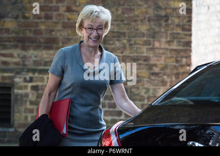 London, Großbritannien. 3. Juli 2018. Andrea Leadsom MP, Herr Präsident des Rates, und Führer des Unterhauses, Blätter Downing Street nach einer Kabinettssitzung. Ferner werden die Minister am Freitag treffen sich in Chequers, um zu versuchen, sich auf Post-Brexit Trading Arrangements vor der Veröffentlichung einer Brexit Weißbuch in der nächsten Woche zu erreichen. Credit: Mark Kerrison/Alamy leben Nachrichten Stockfoto