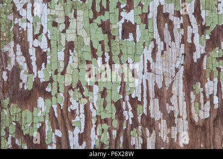 Textur aus antikem Holz- Oberfläche mit geknackt, Ausgeschabt grüne Farbe. Stockfoto