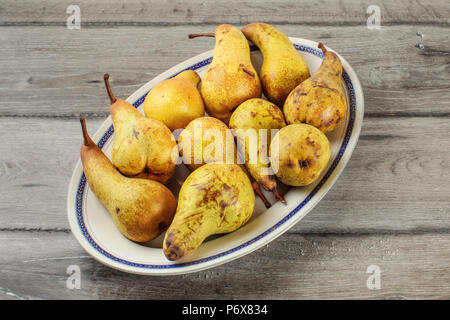 Table Top - ovale Platte mit reife Birnen auf grau Holz Schreibtisch platziert Stockfoto
