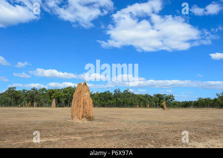 Eine große Kathedrale Termitenhügel in einem Feld zu Bramwell Junction, Cape York Halbinsel, Far North Queensland, FNQ, QLD, Australien Stockfoto