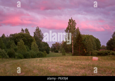 Mittsommernacht in Lettland Stockfoto