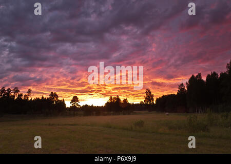 Mittsommernacht in Lettland Stockfoto