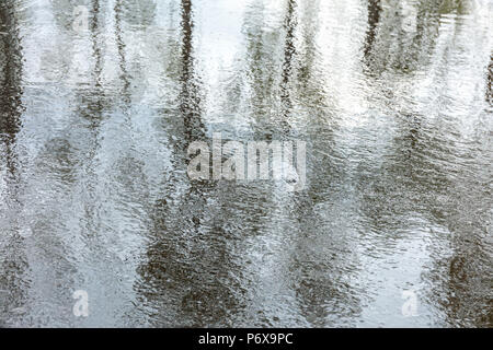 Nasse Straße Bürgersteig nach Regen. Große Wasserpfütze mit Bäumen und Sky Reflexionen Stockfoto