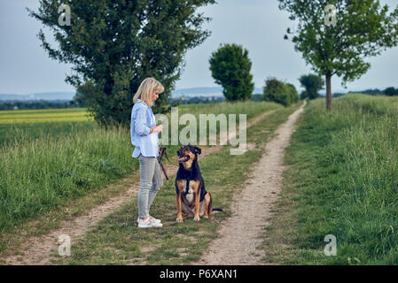 Attraktive junge Frau ihr Hund auf einem Spaziergang Kabelbaum und führen in einem Land Landschaft auf einen Feldweg Stockfoto