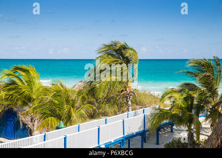 Kuba, Jardines del Rey, Cayo Guillermo, Playa Pilar Stockfoto