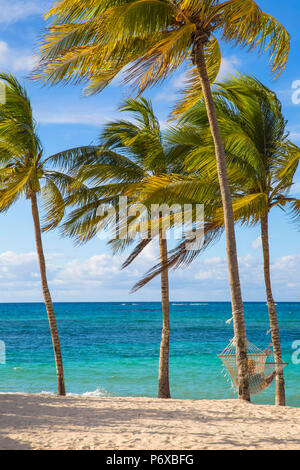 Kuba, Holguin Provinz, Hängematten zwischen den Palmen am Strand Playa Guardalvaca Stockfoto