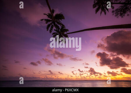 Cook Inseln Aitutaki Atoll, Strand und Palmen Silhouette Stockfoto
