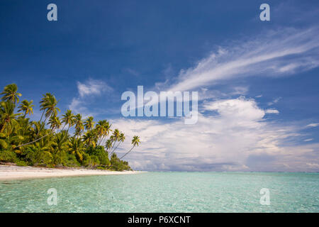 Cook Inseln Aitutaki Atoll, tropischen Insel und Strand Stockfoto