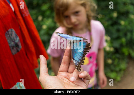 Blauer Schmetterling im Vordergrund. Kind im Hintergrund, im Soft Focus. Hohe Blickwinkel betrachten. Fokus auf forefront. Stockfoto