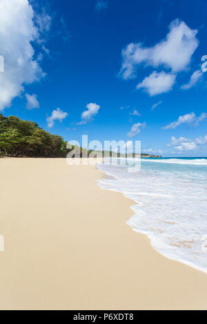 Dominikanische Republik, Rio San Juan, Playa Grande Stockfoto