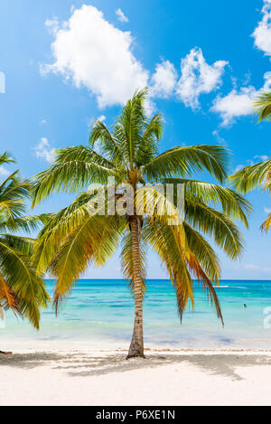 Mano Juan, Saona, East National Park (Parque Nacional del Este), Dominikanische Republik, Karibik. Stockfoto