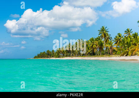 Canto de la Playa, Saona, East National Park (Parque Nacional del Este), Dominikanische Republik, Karibik. Stockfoto