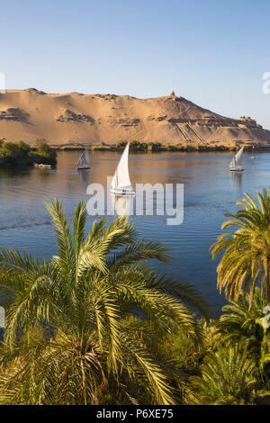 Ägypten, Oberägypten, Assuan, die Insel Elephantine, Blick auf den Nil und Gräber der Adligen auf der West Bank von den Gärten des Mövenpick Resort Stockfoto